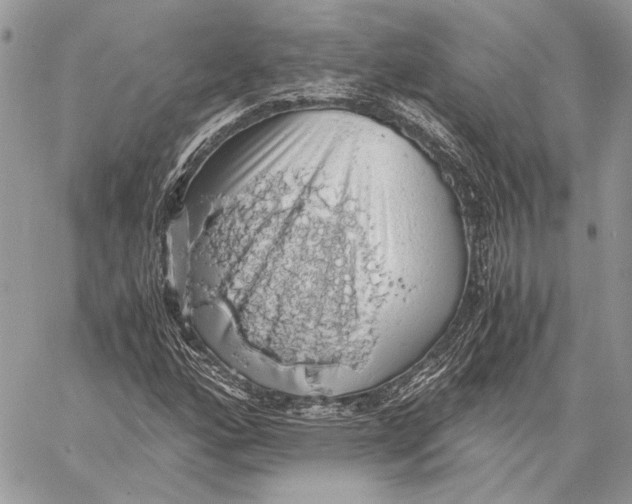 X0000058781160200510211741