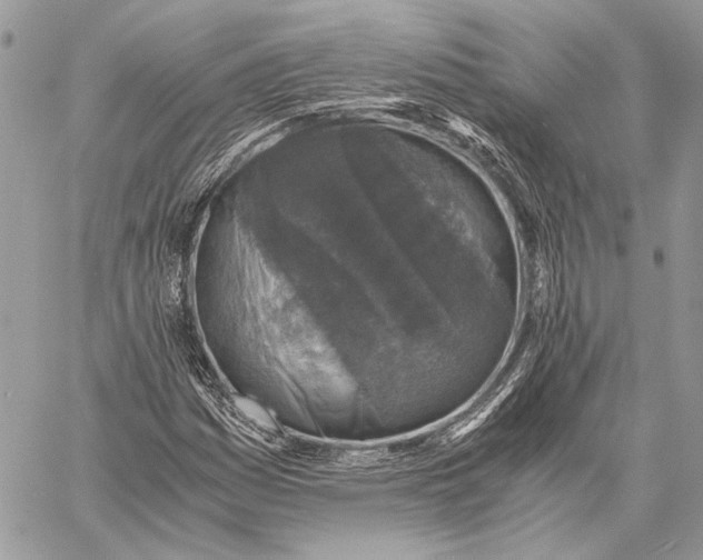 X0000058781161200510211741