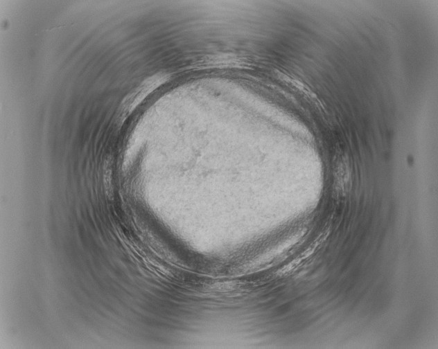 X0000058781162200510211741