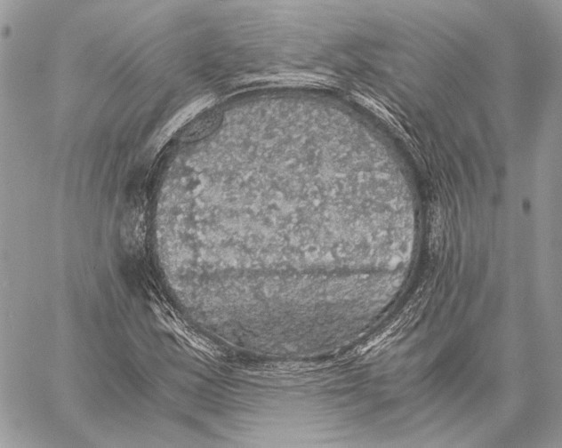 X0000058781163200510211741