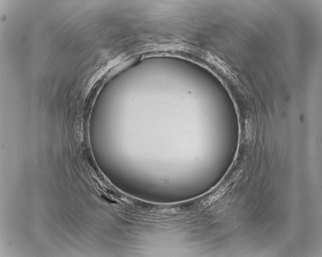 X0000058781165200510211741