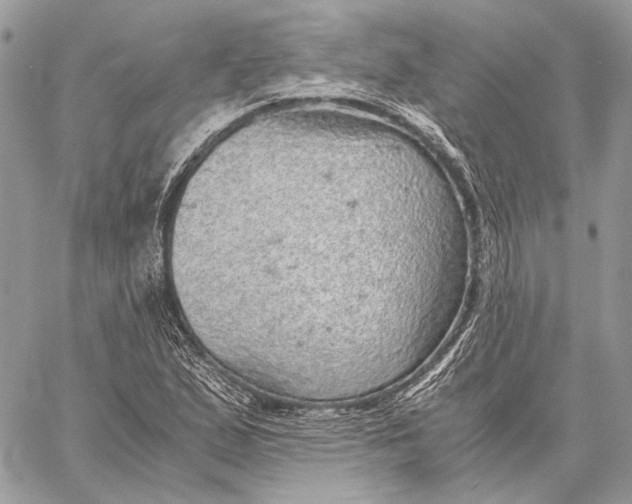 X0000058781167200510211741