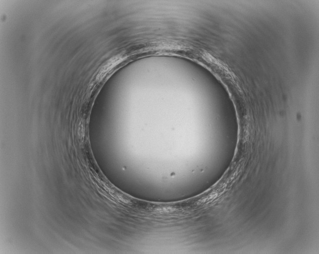 X0000058781169200510211740