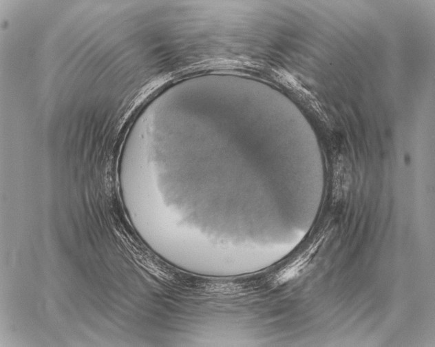 X0000058781170200510211740