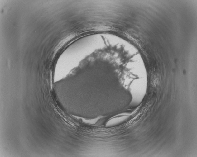 X0000058781171200510211740