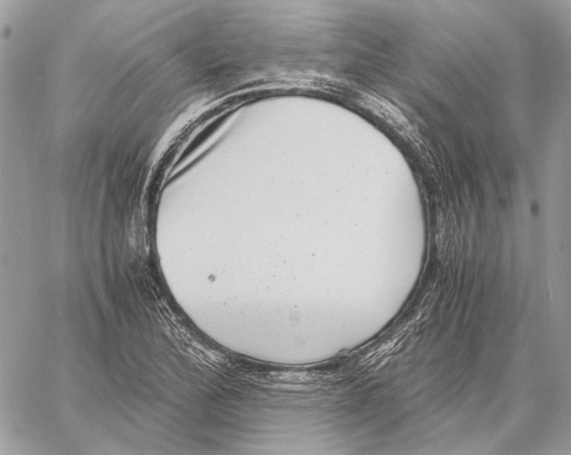 X0000058781172200510211740