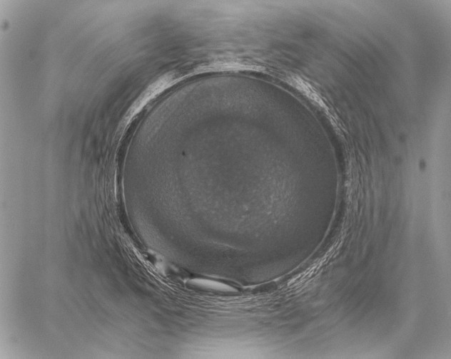 X0000058781173200510211740