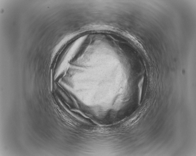 X0000058781175200510211740