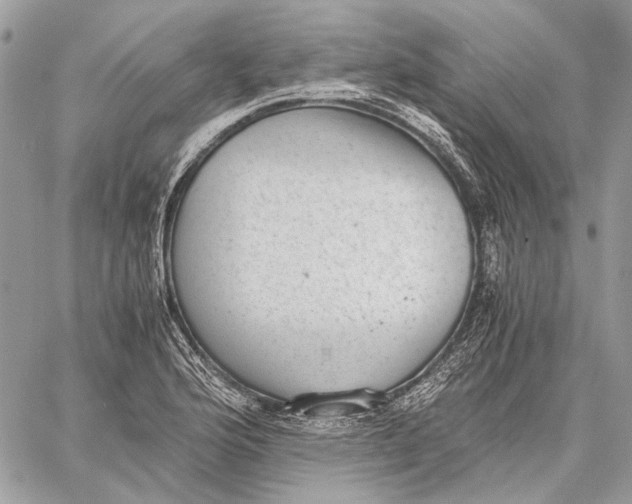 X0000058781176200510211740