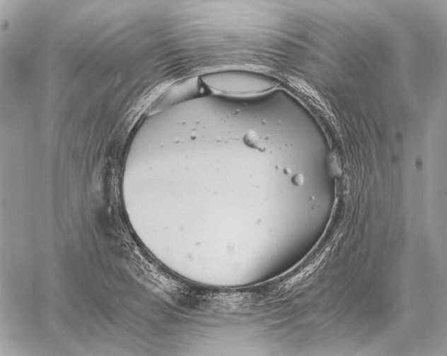 X0000058781177200510211740