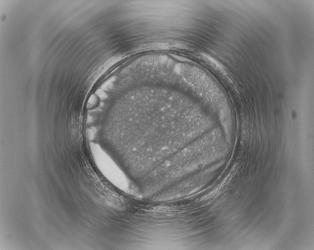 X0000058781178200510211740