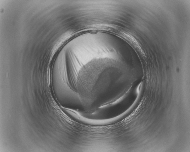 X0000058781180200510211740