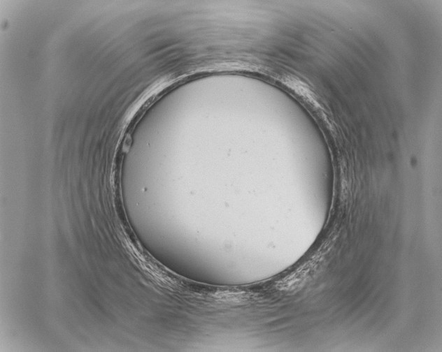 X0000058781181200510211740