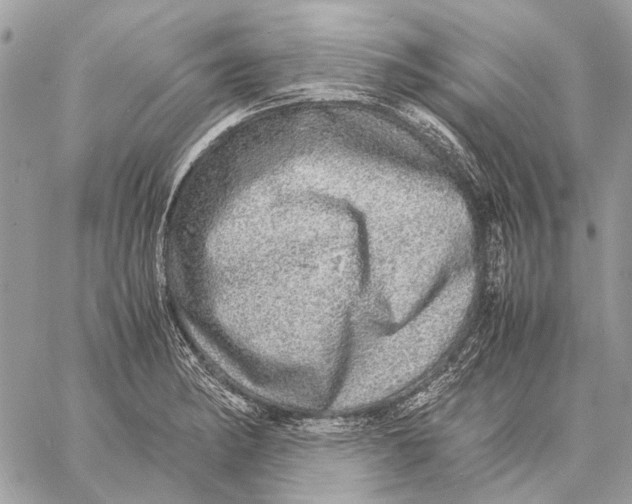 X0000058781182200510211740