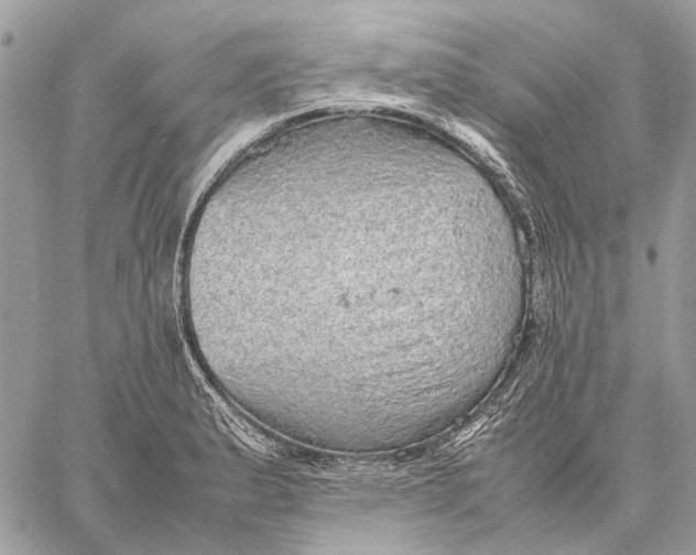 X0000058781183200510211740