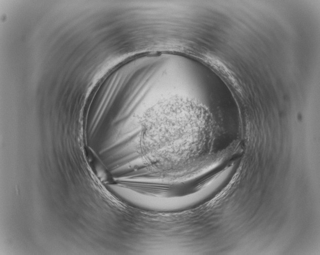 X0000058781184200510211740