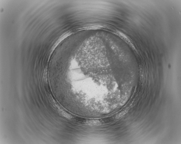 X0000058781186200510211740