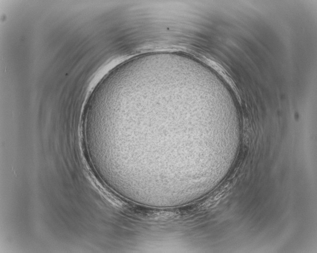 X0000058781187200510211740