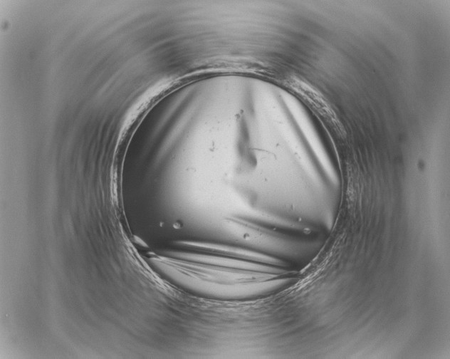 X0000058781188200510211740