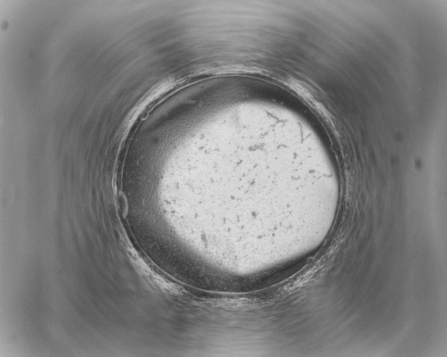 X0000058781189200510211740