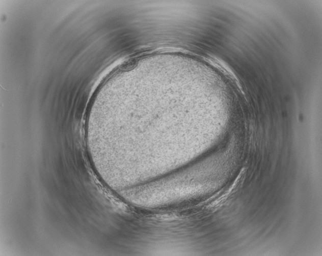 X0000058781190200510211740