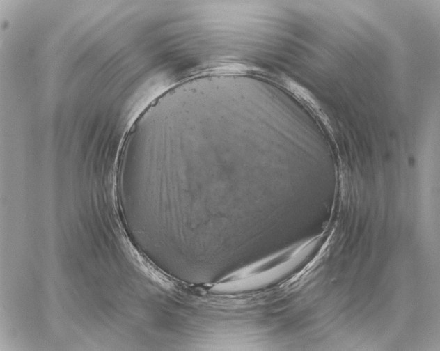 X0000058781194200510211740