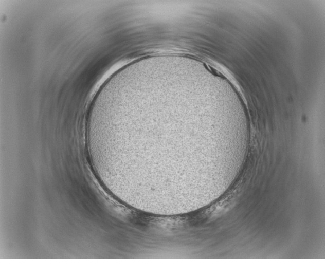 X0000058781195200510211740