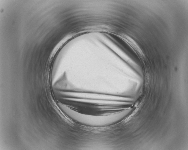 X0000058781196200510211740