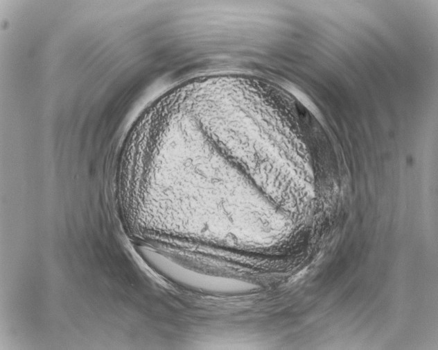 X0000058781197200510211740