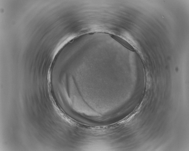 X0000058781198200510211740