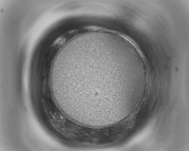 X0000058781199200510211740