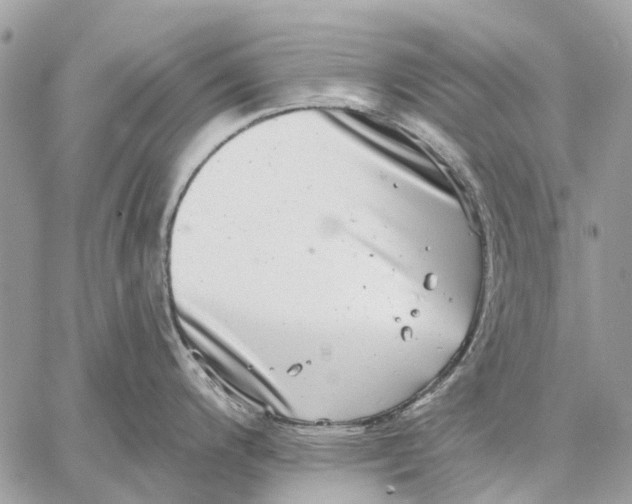 X0000058781200200510211740