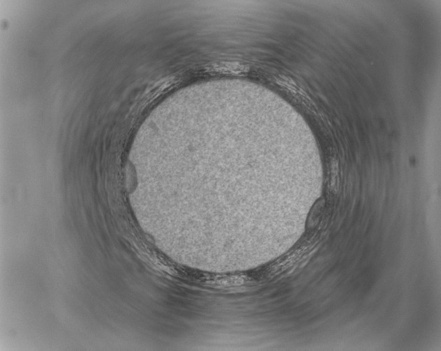 X0000058781201200510211739