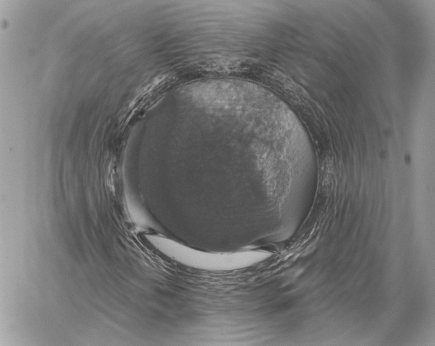 X0000058781202200510211739