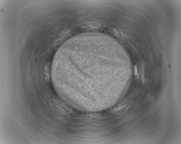 X0000058781203200510211739