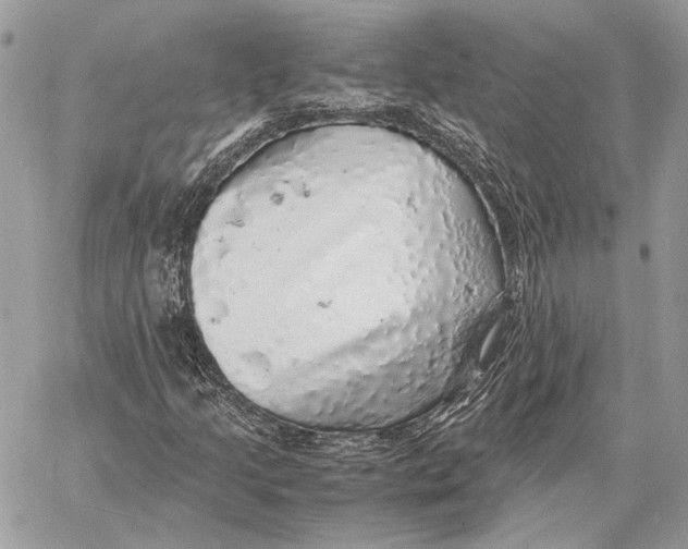 X0000058781205200510211739