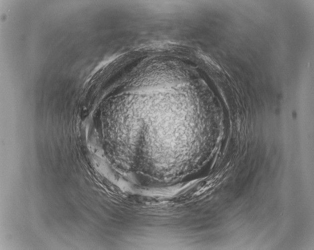 X0000058781206200510211739