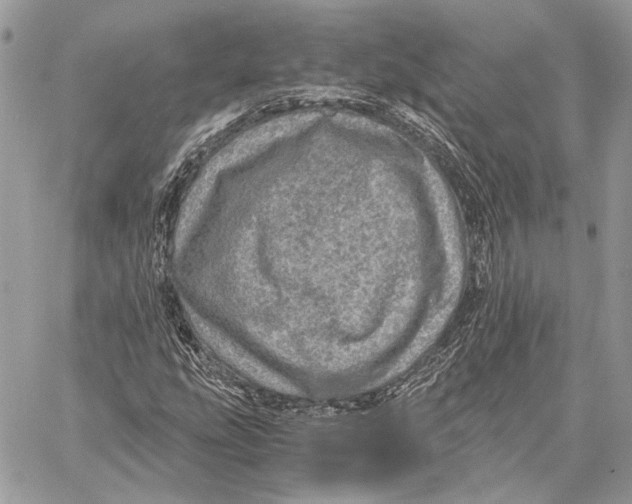 X0000058781207200510211739