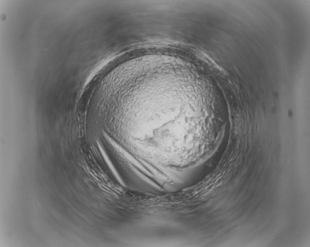 X0000058781208200510211739