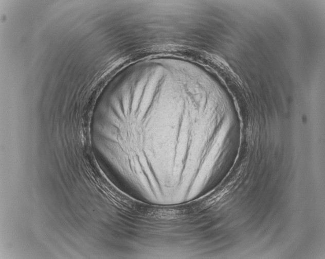 X0000058781209200510211739