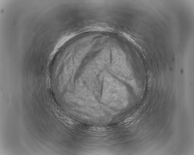 X0000058781215200510211739