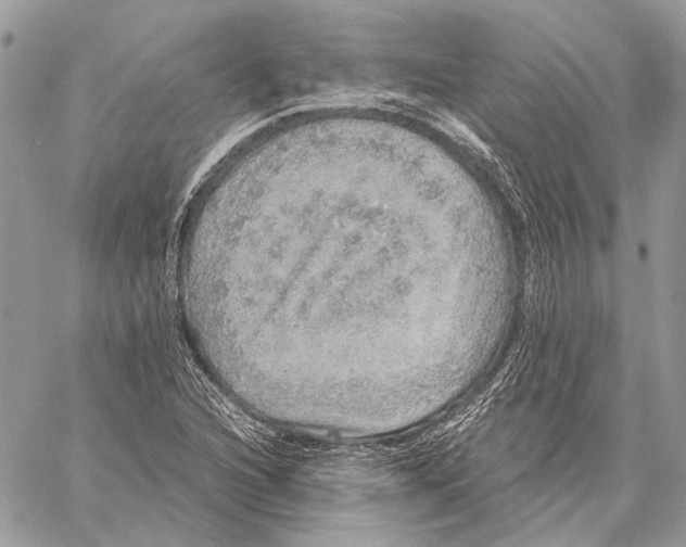 X0000058781216200510211739