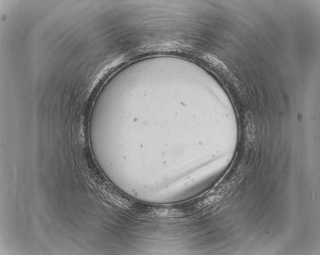 X0000058781218200510211739