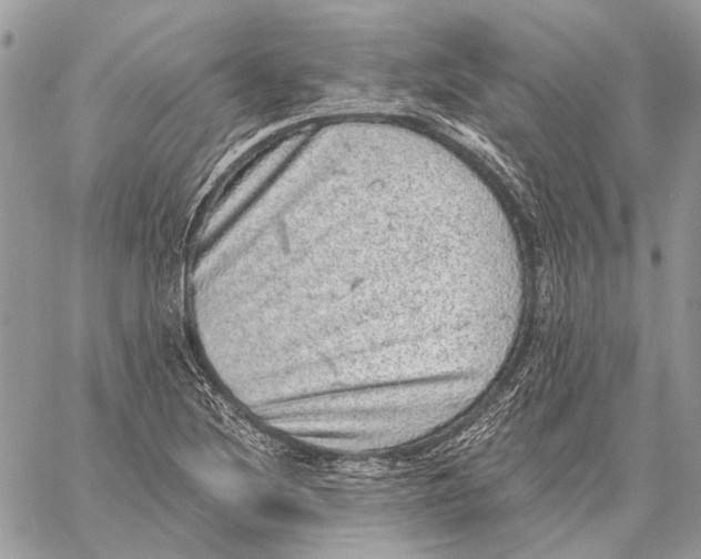 X0000058781220200510211740