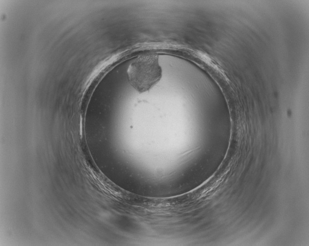 X0000058781221200510211740