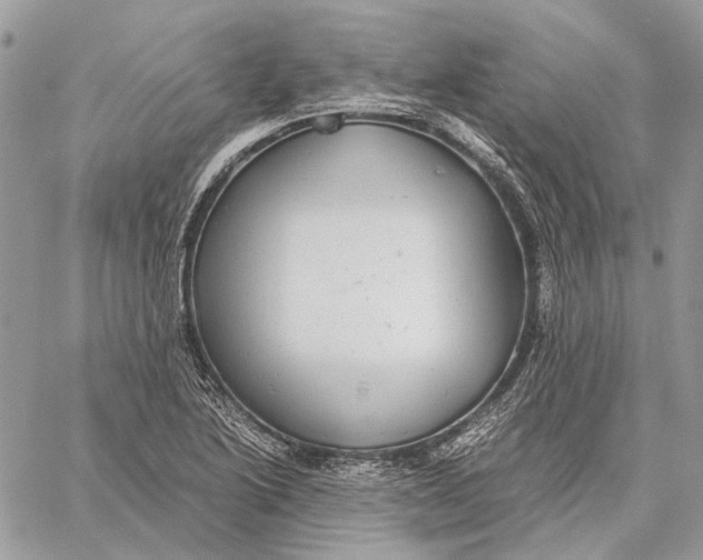 X0000058781222200510211740