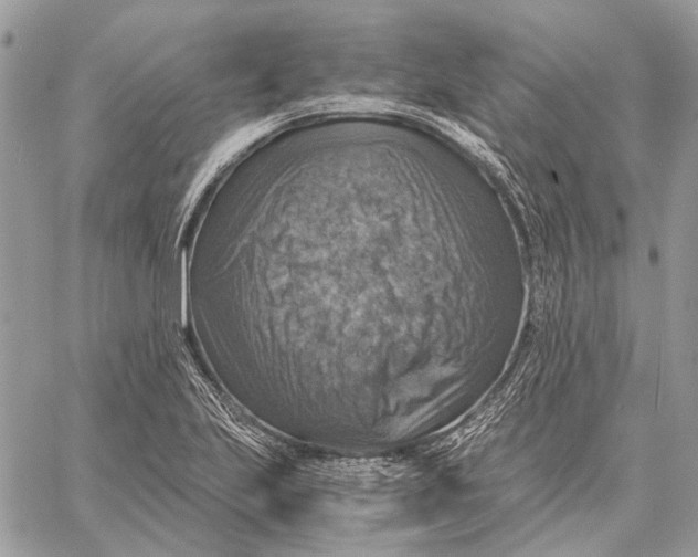 X0000058781223200510211740