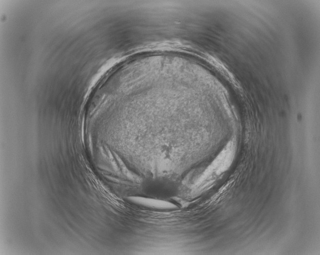 X0000058781224200510211740