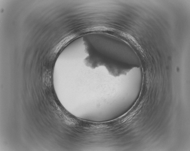 X0000058781225200510211740