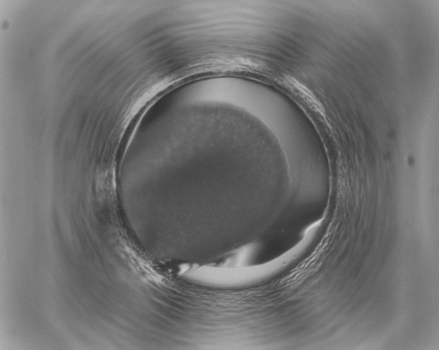 X0000058781226200510211740